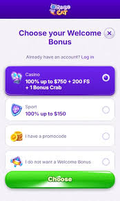 Análisis del sitio web de RoboCat Casino