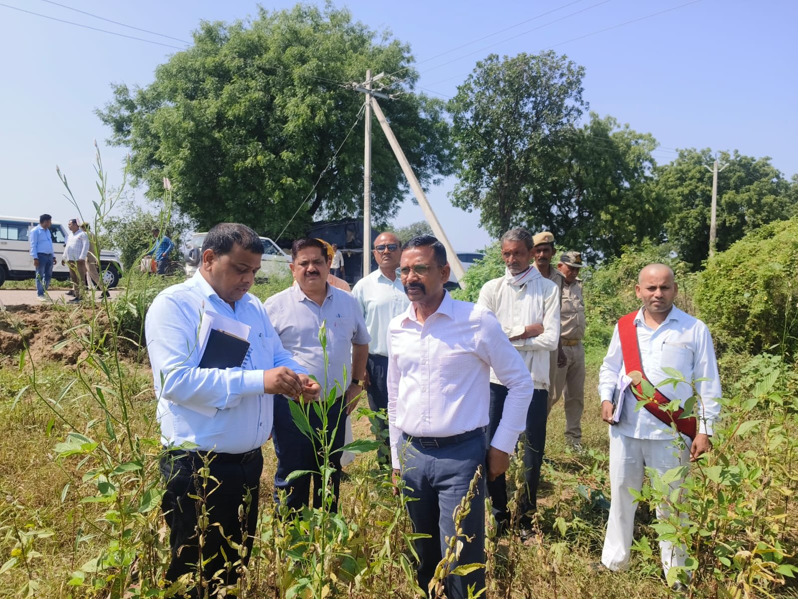 हमीरपुर : जिलाधिकारी ने नदी के जलस्तर, तटवर्ती कृषि भूमि, जलभराव से प्रभावित फसलों का किया निरीक्षण